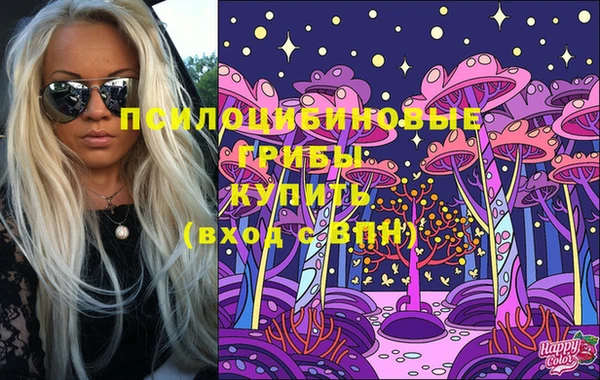 сатива Дмитровск
