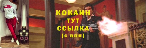 мескалин Дмитриев