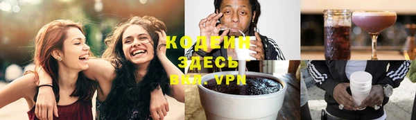 сатива Дмитровск