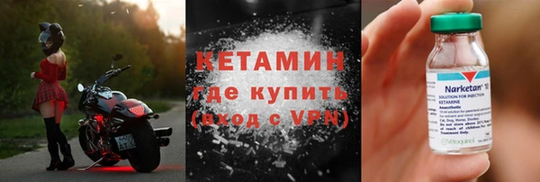 сатива Дмитровск