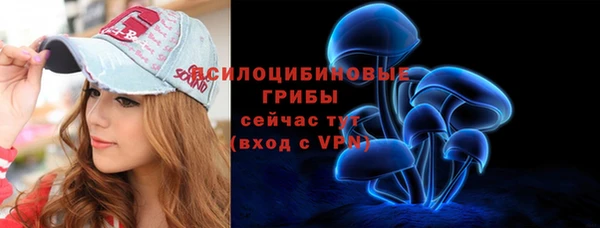 apvp Дмитров