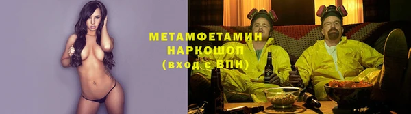 сатива Дмитровск