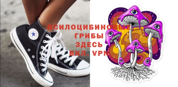 apvp Дмитров