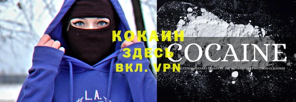 сатива Дмитровск