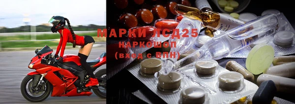 apvp Дмитров